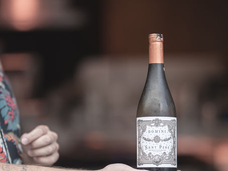 Wine Regions of Catalonia: Discovering Catalan Wines Through Flavours and Landscapes