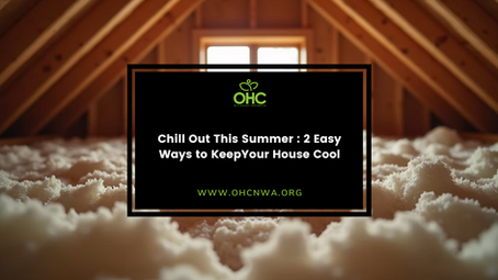 Chill Out This Summer : 2 Easy Ways To Keep Your House Cool