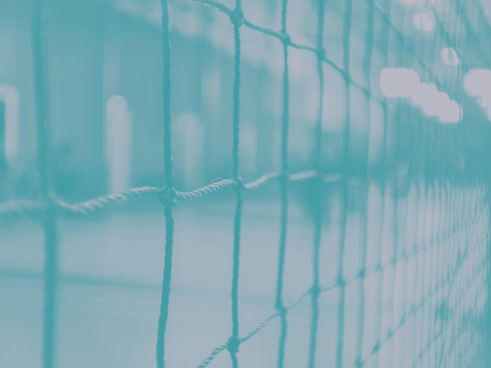 A volleyball net
