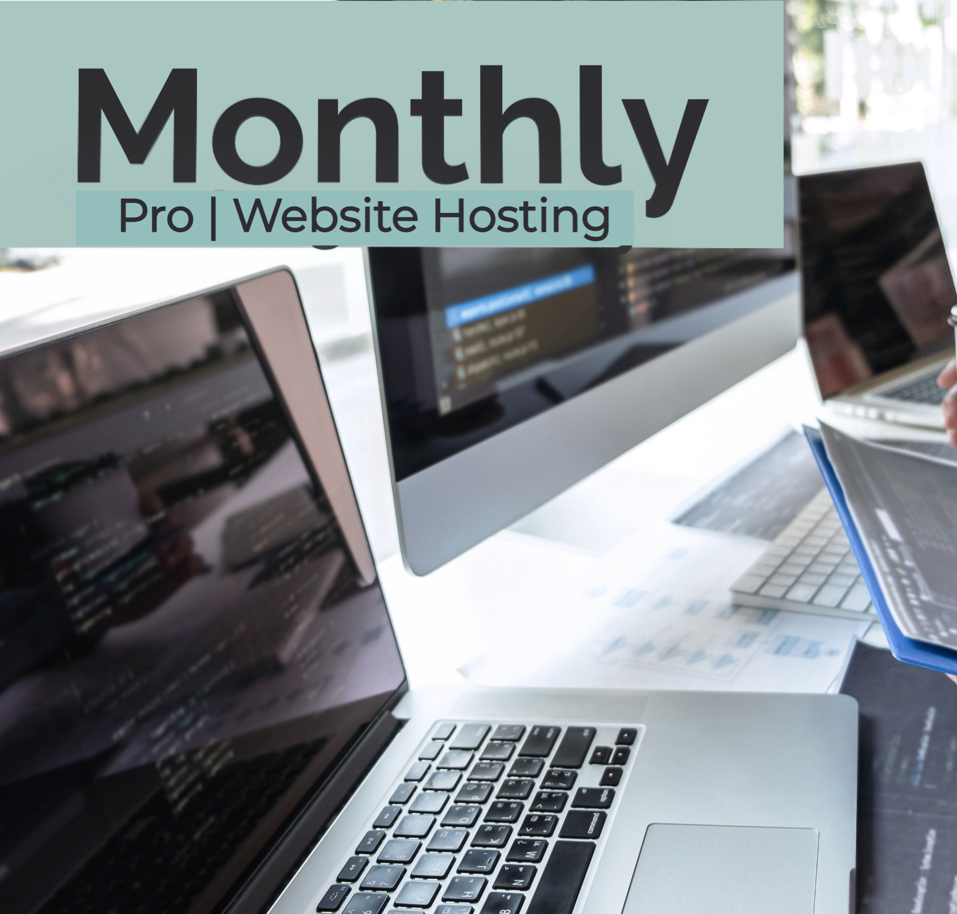 Pro Plan Website Hosting