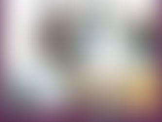 Buying New Construction | Venice FL |davidbarrhomescom