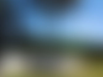 Neighborhood Comparison| Venice FL | davidbarrhomes.com