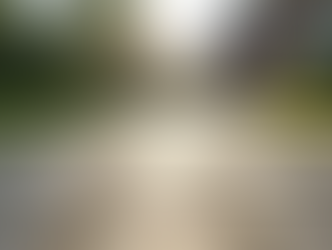 Discover Your Local Paving Experts