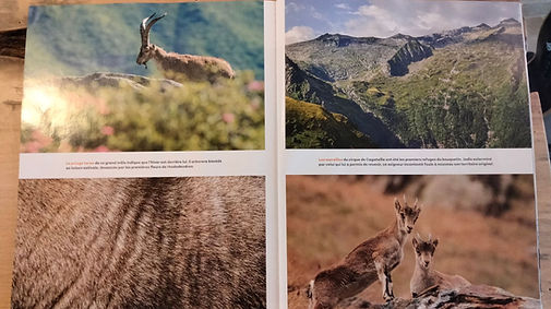 Photo magazine