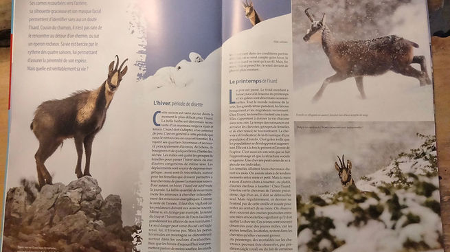 Photo magazine