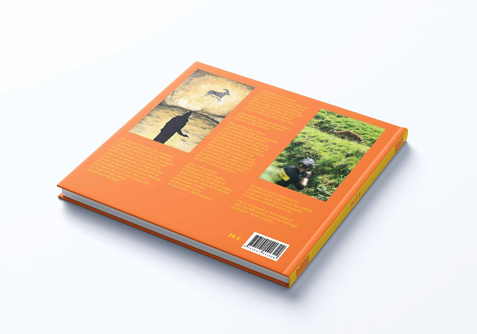 Miniature : Livre - Lyre