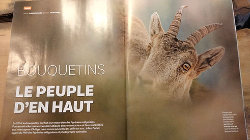Photo magazine