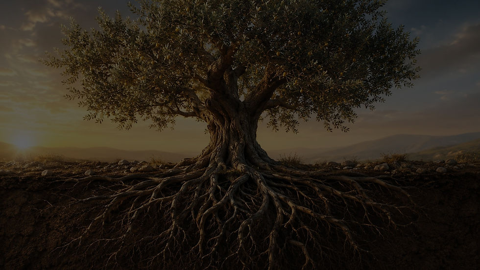 hero-root-tree.jpg