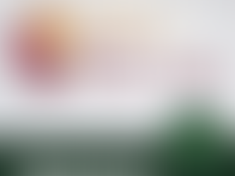 Chef Brasil Presente no 5º Festival Gastronômico Sabores de Barra Velha