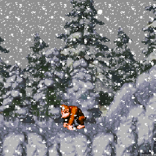 northern hemishere gif.gif