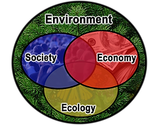 Ephriam and Associates Logo.png