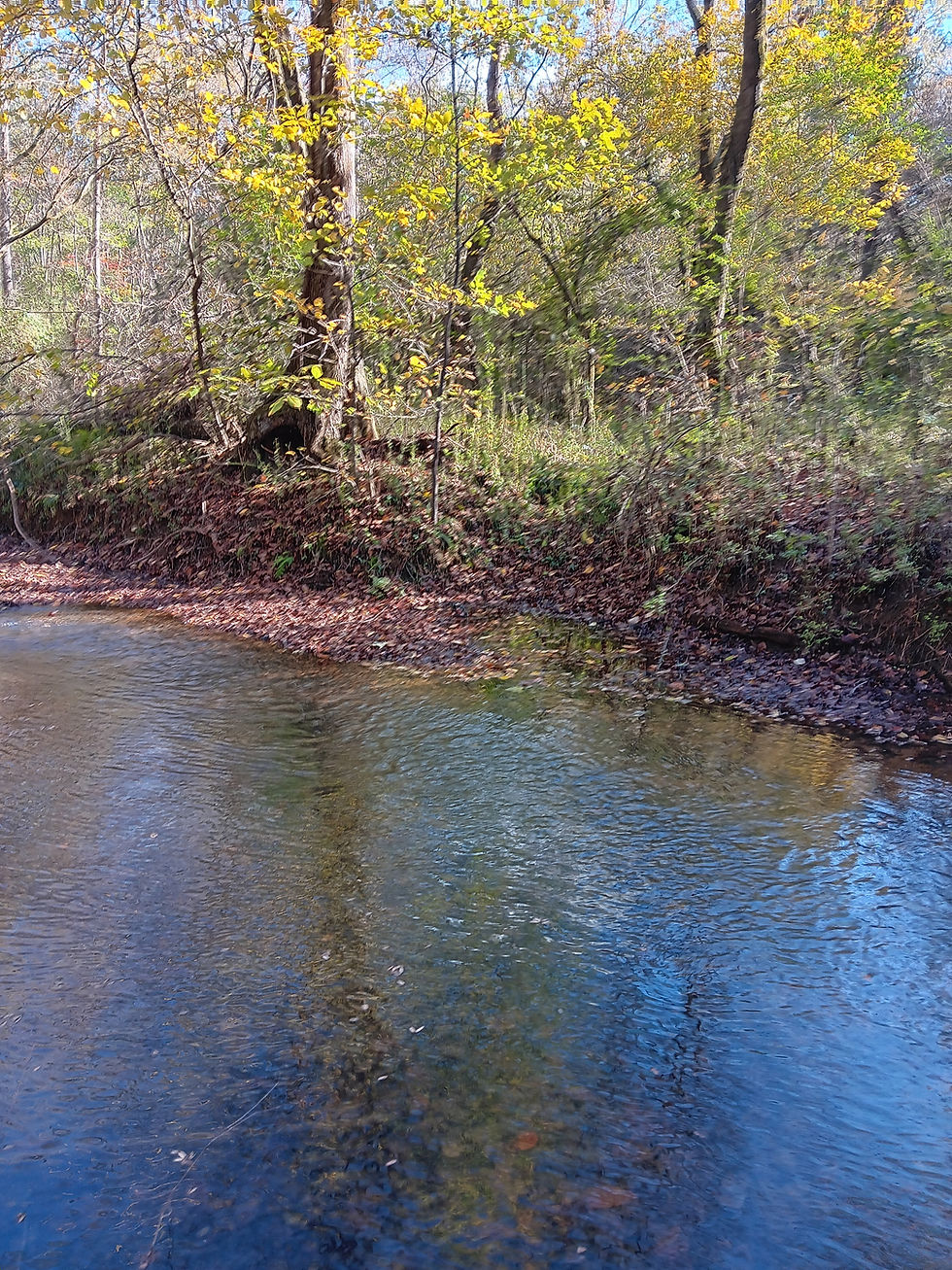 Stream Assessments and Restoration