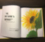 Thumbnail: (Hardcover) Sunny Finds her Shine book + workbook