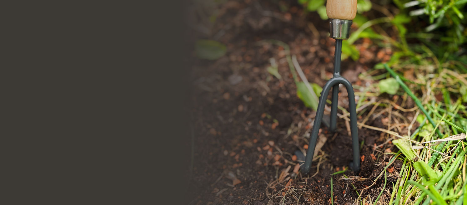 Kent&Stowe_Carbon Steel Doppelhacke_HG Kopie.jpg