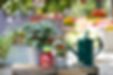 737443_WL_BigTom_Tomatenduenger_1l_LS.jpg