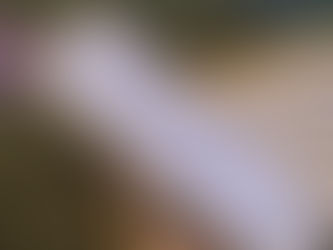 A Sweet Harvest: Our 2025 Beekeeping Journey