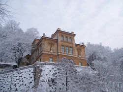 sveža_bela_-_stara_rjava