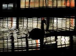 Labod pred BIC-om (2)