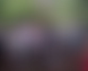 2024年5月2日(木)丸山小学校6年生【風越山登山!】