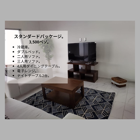 paquete estandar-japonés.png