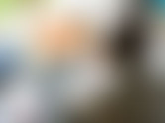 Empresa de telefonia deve permitir mudança para plano de menor valor por meio de site ou aplicativo