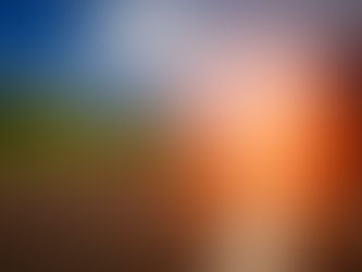 Concessionária é condenada a indenizar motorista que colidiu com animal em rodovia