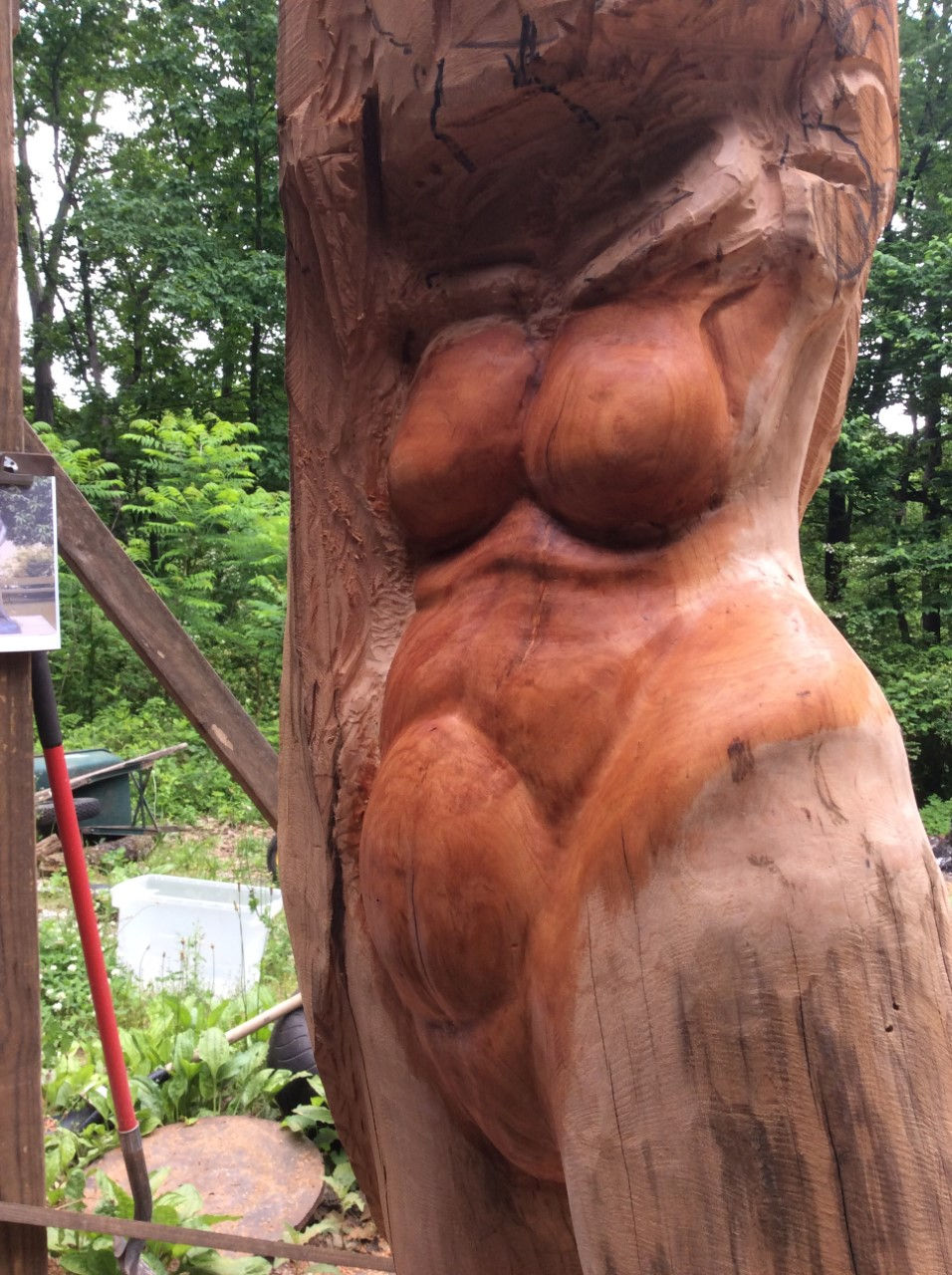 Thumbnail: Cherry Indian Princess