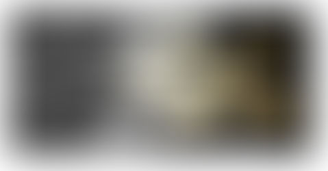 Customer Loyalty in a Nutshell