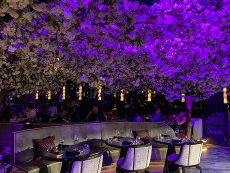 London restaurant interior with purple lit trees and dining tables. Personal Escape Travel Personalized vacation planning in the US