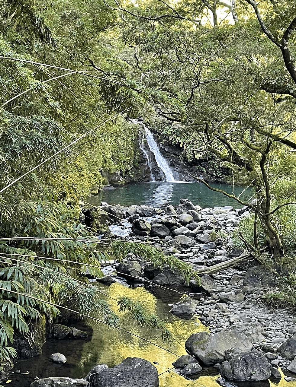Maui Honeymoon Itinerary:6 Nights In Paradise