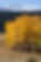 unnamed.jpg