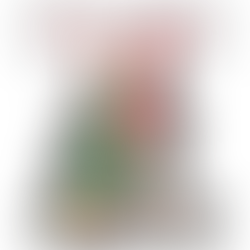 Join United Women in Faith for a Christmas Tea and Cookie Party December 17