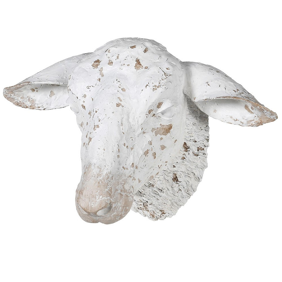 White Sheep Head Wall Deco