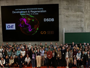 GfE/DSDB/SEBD Meeting