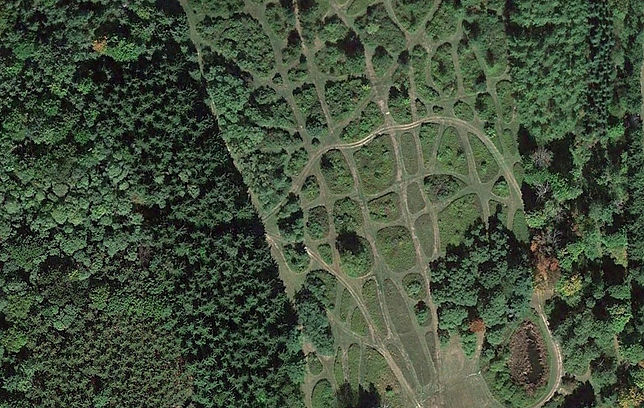 WanderMowing_edited.jpg