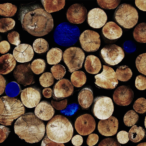 trunk graphic.jpg