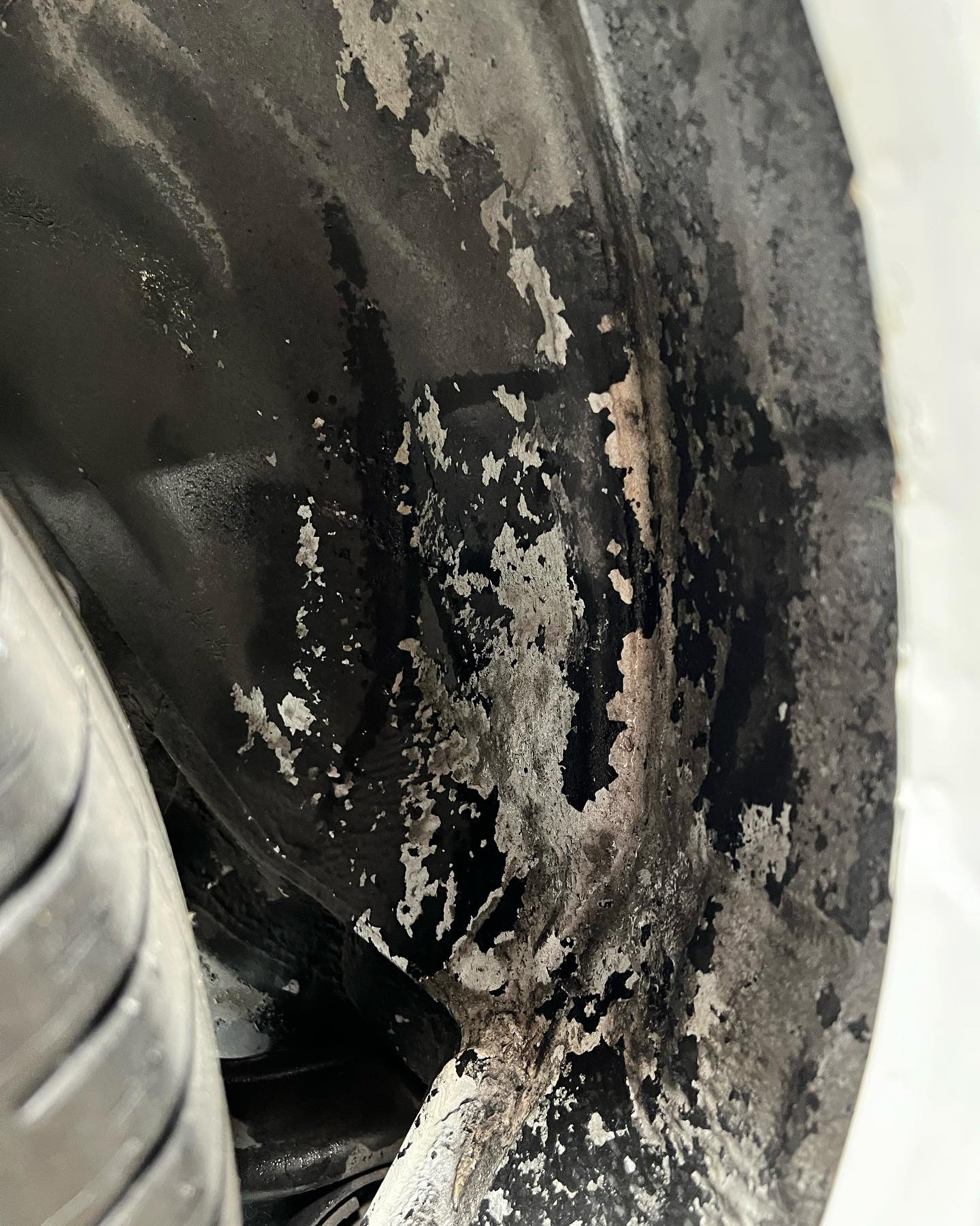 Undercarriage + Wheel Wells