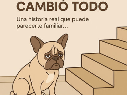 ¿Te ha pasado que tu perro empieza a comportarse raro… y no sabes por qué?