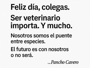 ¿Qué hace un veterinario cuando nadie lo ve?