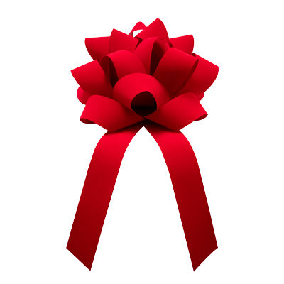 Thumbnail: Velvet Premium Bow