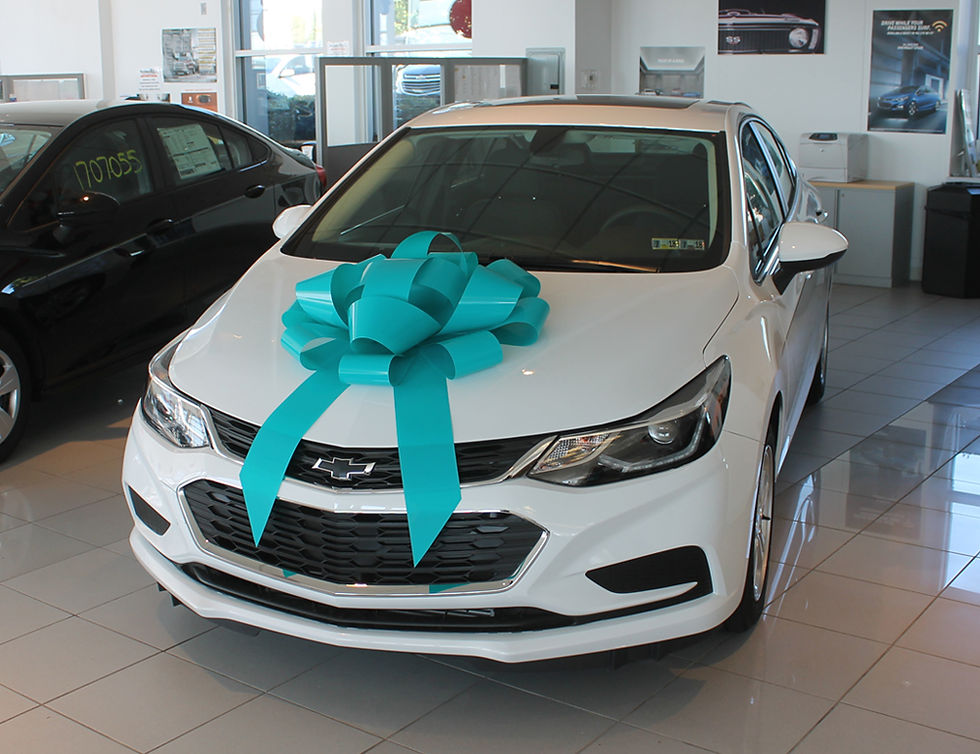 Thumbnail: CAR BOW - 30" HIGH GLOSS PVC