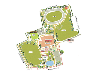 Untitled design (2).png