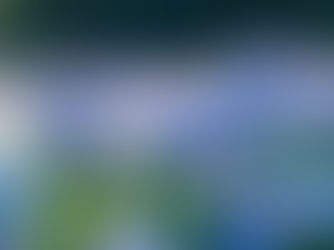 VENTE EN DIRECT 2025