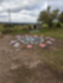 PXL_20220924_095013186.jpg