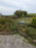PXL_20220903_103042727.jpg