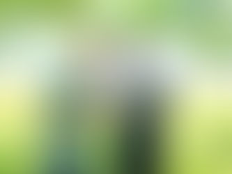 関西テレビ「よ〜いドン！」となりの人間国宝さんに認定されました！