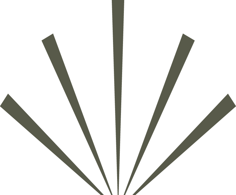 brasserie-steytelinck-icon.png