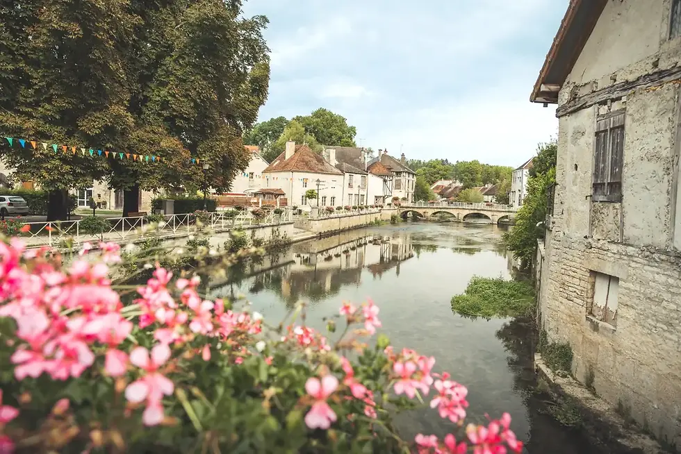Rivier door het dorp Neuville-sur-Seine met een oude stenen brug en bloemen op de voorgrond, nabij La Découverte Trouvée