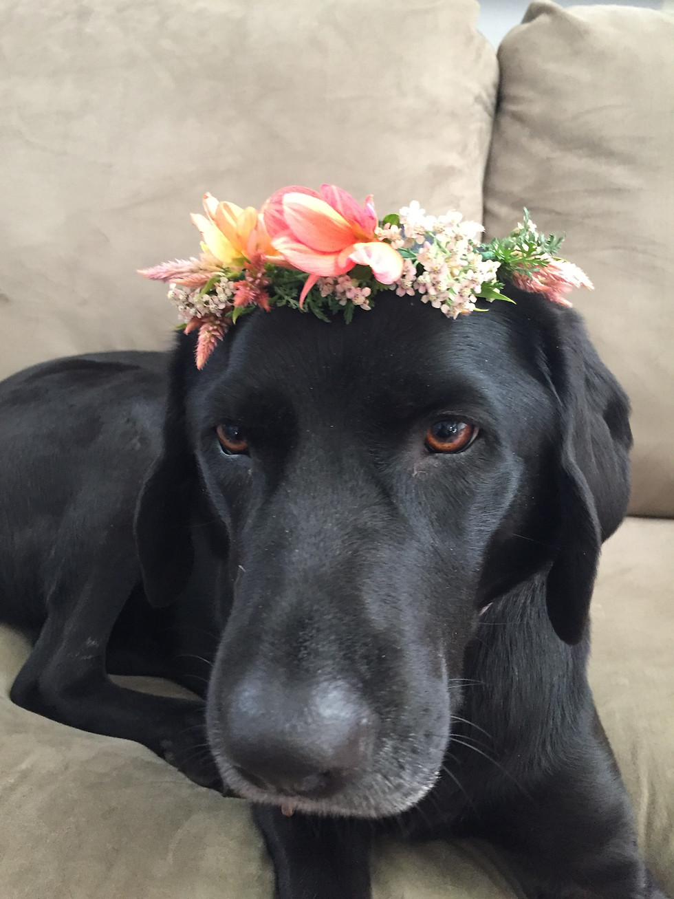 Thumbnail: Flower Crowns
