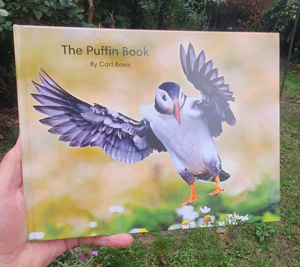 Thumbnail: The Puffin Book